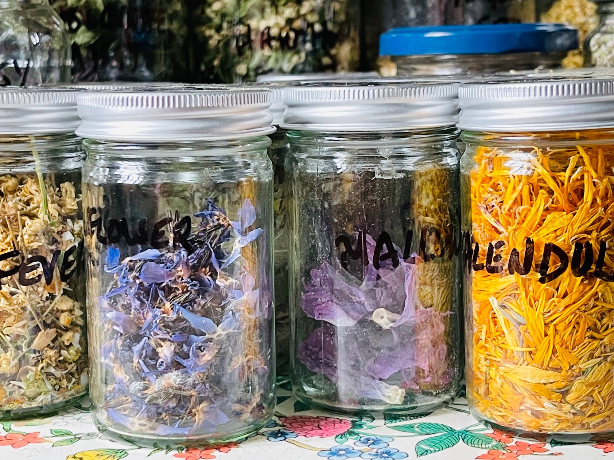 Herb jars from the apothecary