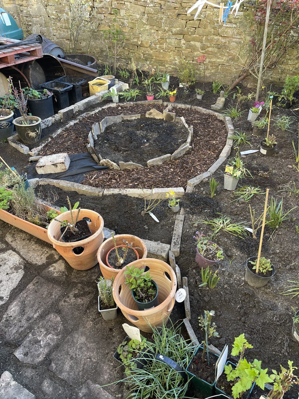 Planting up the garden