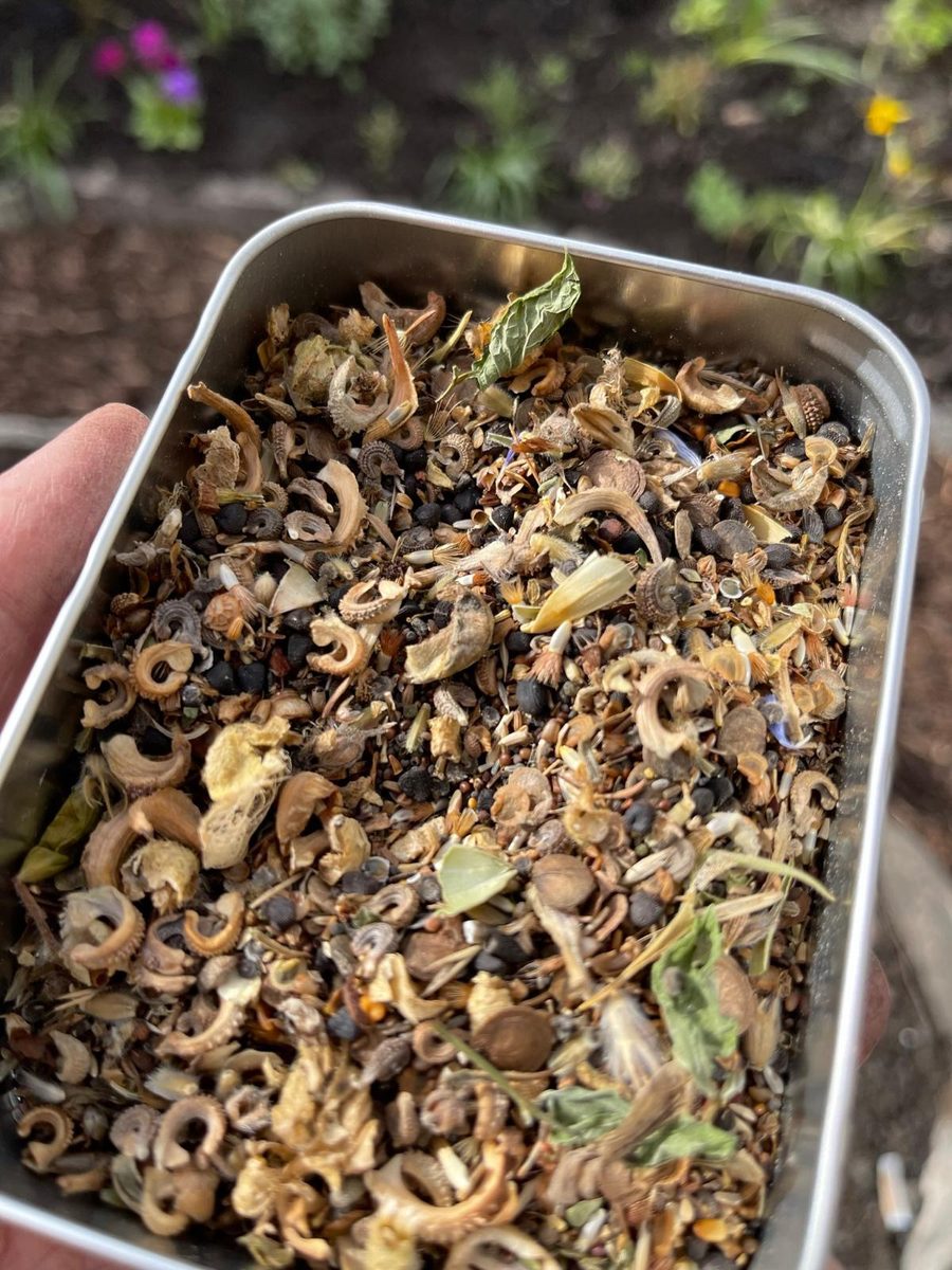 Seeds and plant matter
