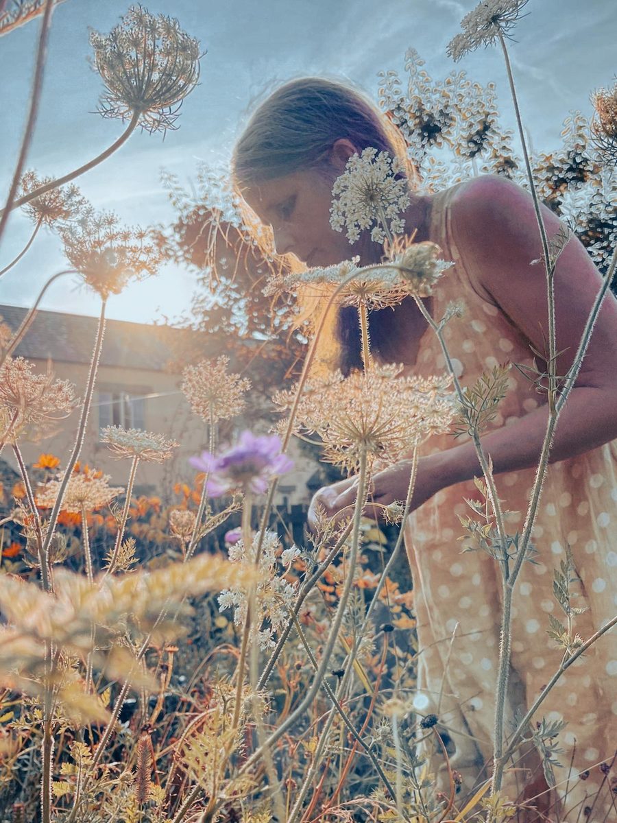 Victoria gathering plants