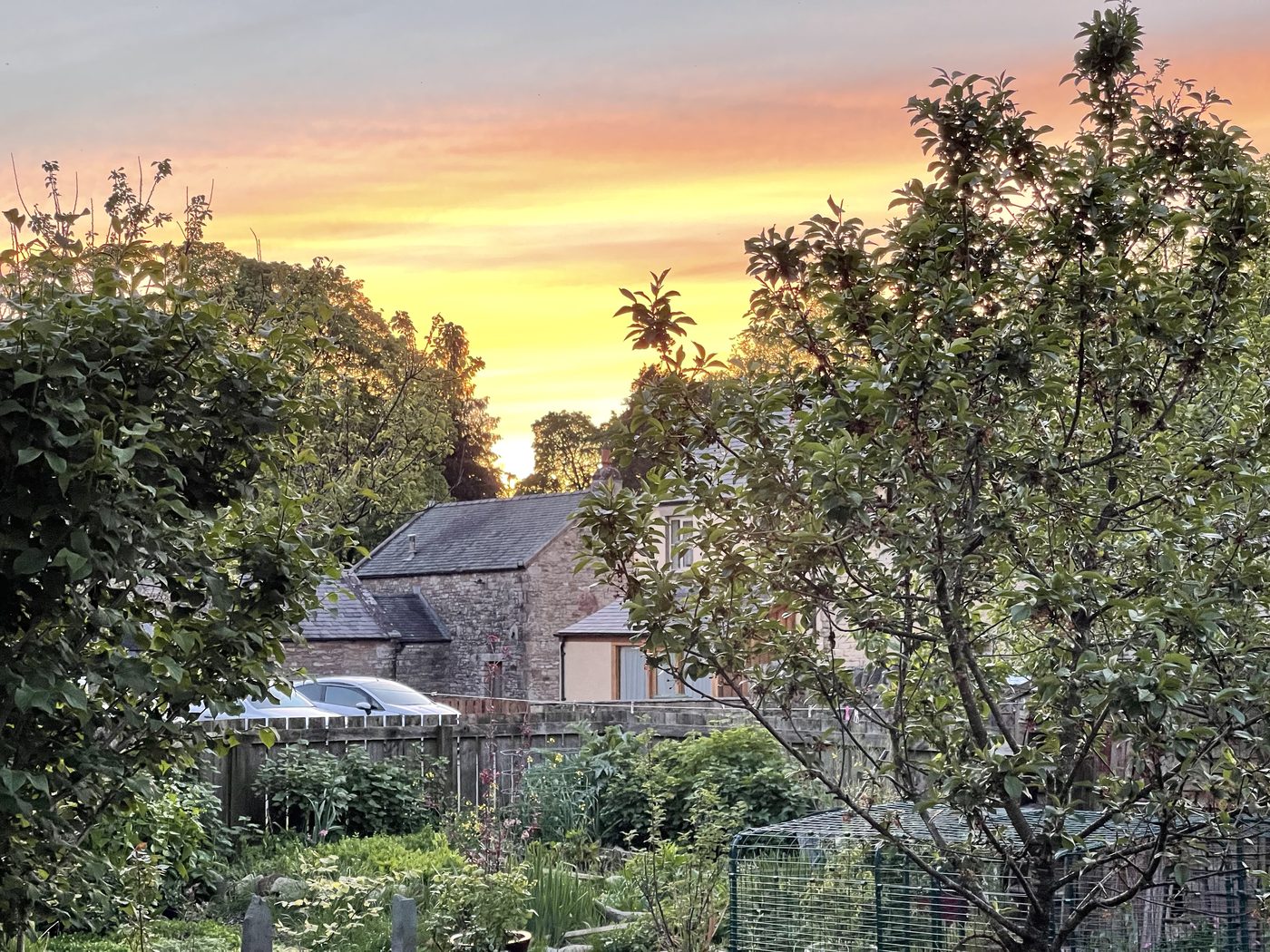 Garden at golden sunset